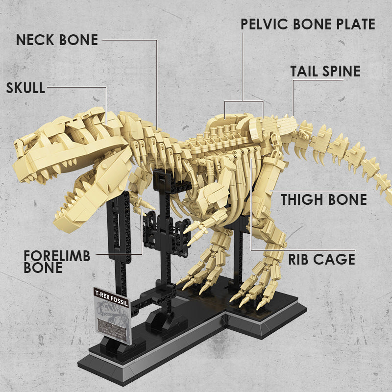 Tyrannosaurus Rex Dinosaur Fossil Building Blocks
